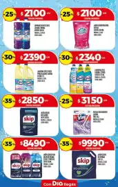 Folleto Supermercados DIA semana 25 Página 24