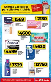 Folleto Supermercados DIA semana 25 Página 25