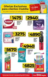 Folleto Supermercados DIA semana 25 Página 26