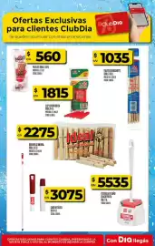 Folleto Supermercados DIA semana 25 Página 28