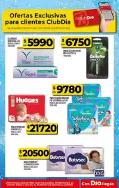 Folleto Supermercados DIA semana 25 Página 29