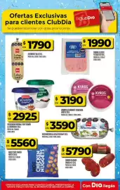 Folleto Supermercados DIA semana 25 Página 30