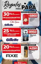 Folleto Supermercados DIA semana 25 Página 9