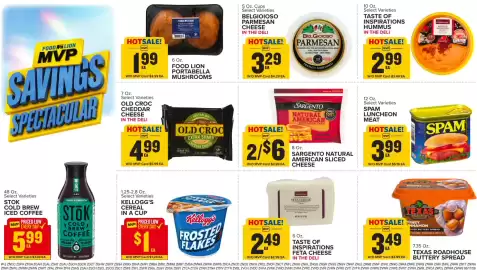 Food Lion weekly ad week 25 Page 10