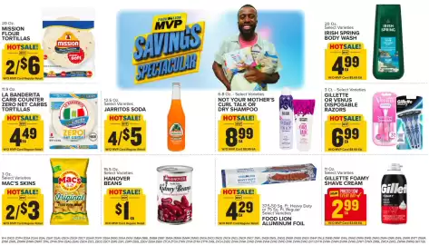 Food Lion weekly ad week 25 Page 11