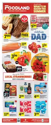 Foodland flyer