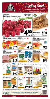 Farm Boy (valid until 24-06)