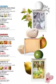 Oriflame katalógus Oldal 36