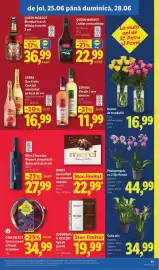 Catalog Lidl săptămâna 26 Pagină 31
