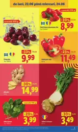 Catalog Lidl săptămâna 26 Pagină 5