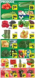 Food Basics flyer week 25 Page 6
