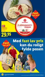 Lidl tilbudsavis uge 26 Side 14