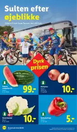 Lidl tilbudsavis uge 26 Side 2