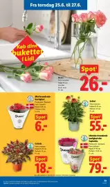 Lidl tilbudsavis uge 26 Side 34