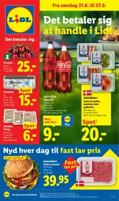 Lidl (gælder indtil 27-06)