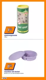 Action Prospekt woche 25 Seite 14