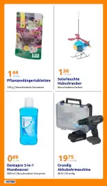 Action Prospekt woche 25 Seite 21