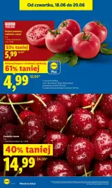 Lidl gazetka Strona 10