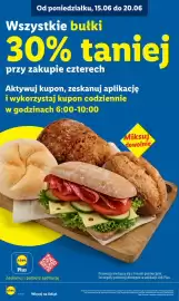 Lidl gazetka Strona 12