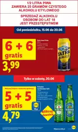 Lidl gazetka Strona 17