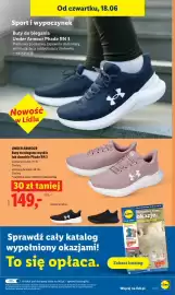 Lidl gazetka Strona 33