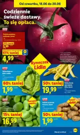 Lidl gazetka Strona 37