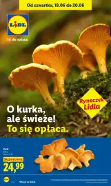 Lidl gazetka Strona 38