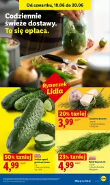 Lidl gazetka Strona 39