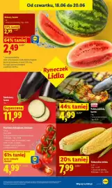 Lidl gazetka Strona 41