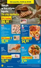 Lidl gazetka Strona 48