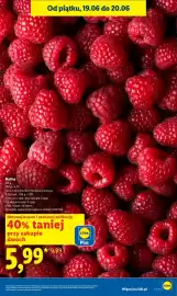 Lidl gazetka Strona 5