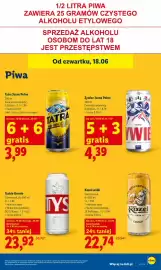 Lidl gazetka Strona 61