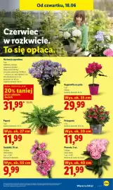 Lidl gazetka Strona 79