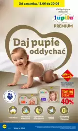 Lidl gazetka Strona 84