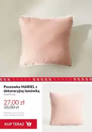 Homla gazetka tydzień 25 Strona 13