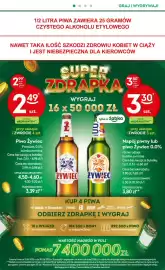 Żabka gazetka Strona 22