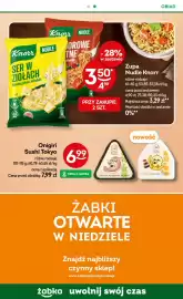 Żabka gazetka Strona 95