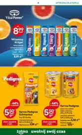 Żabka gazetka Strona 98