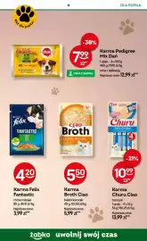 Żabka gazetka Strona 99
