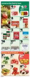 Independent Grocer flyer week 25 Page 10