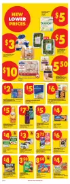 No Frills flyer week 25 Page 11