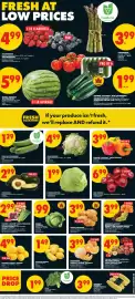 No Frills flyer week 25 Page 2