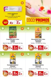 Catalogue Coccinelle Express page 41