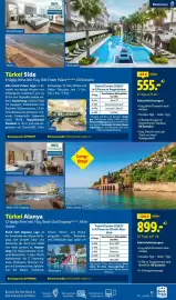 Lidl Flugblatt Seite 11