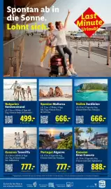 Lidl Flugblatt Seite 15