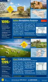 Lidl Flugblatt Seite 18