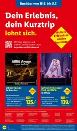 Lidl Flugblatt Seite 2
