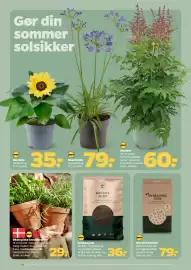 Netto tilbudsavis uge 25 Side 23
