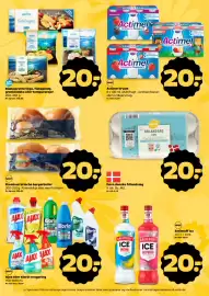 Netto tilbudsavis uge 25 Side 4