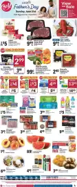 Big Y flyer week 25 Page 1